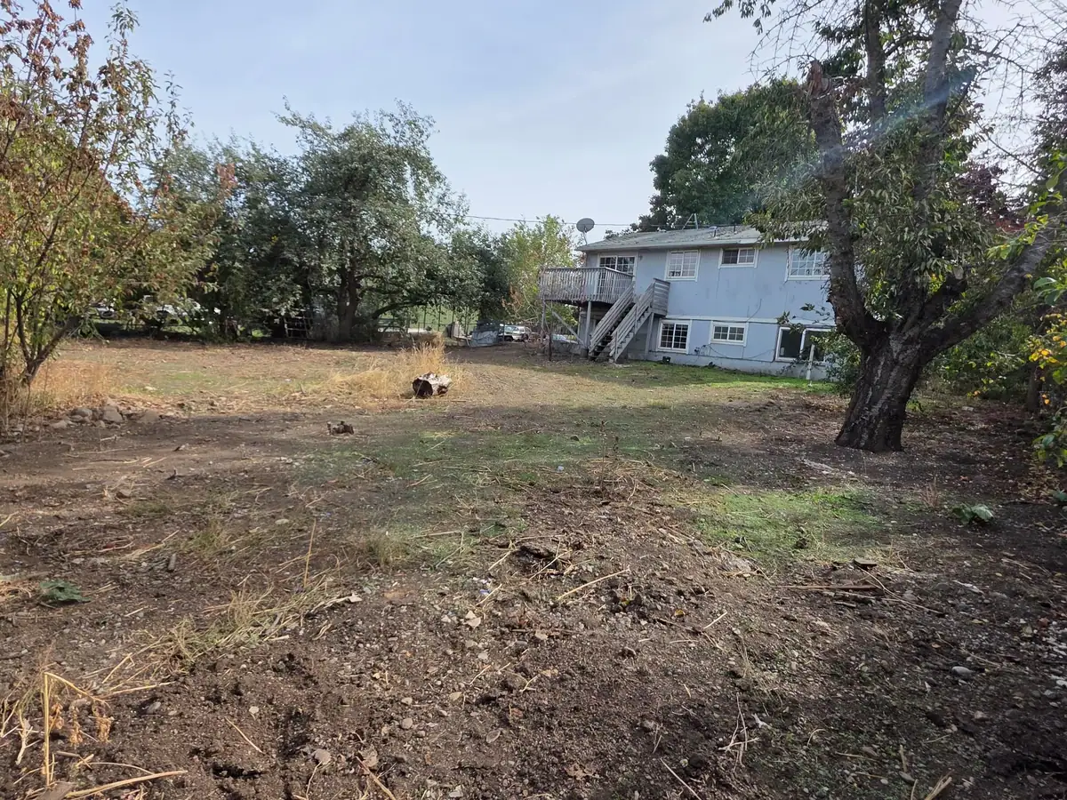 Large backyard